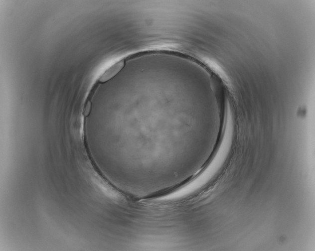 X0000091941324200709121611