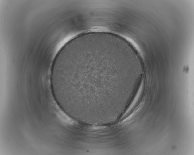 X0000091941325200709121611