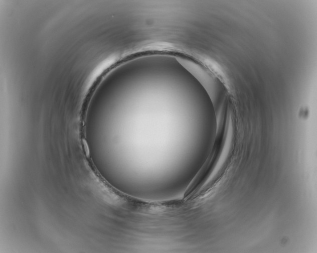 X0000091941326200709121611