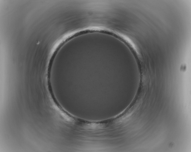 X0000091941327200709121611