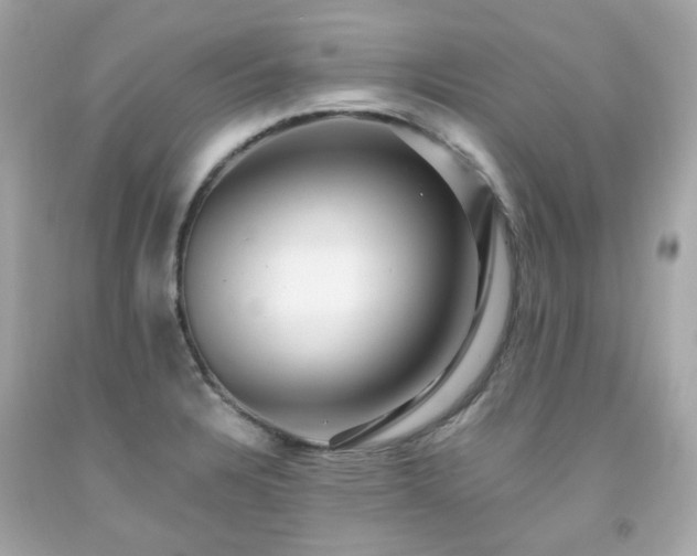 X0000091941328200709121611