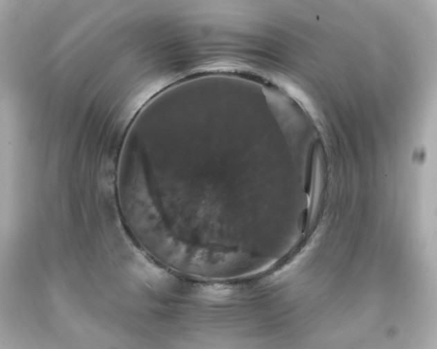 X0000091941329200709121611