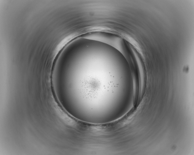 X0000091941330200709121611