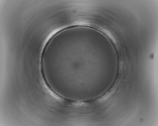 X0000091941331200709121611