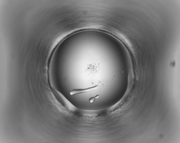 X0000091941332200709121611