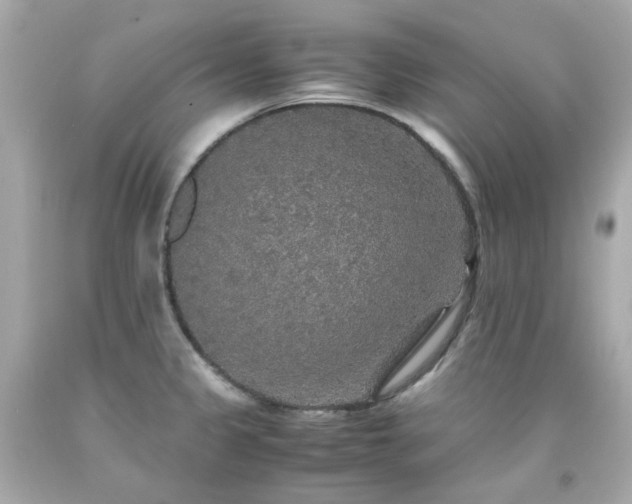 X0000091941333200709121611