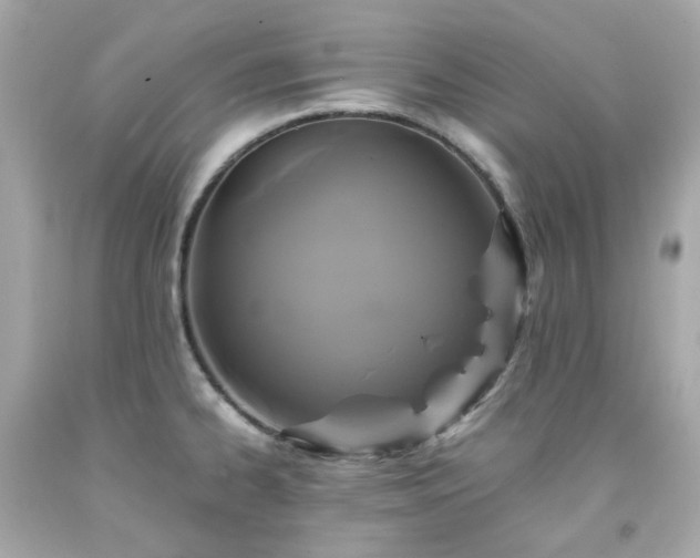 X0000091941334200709121611