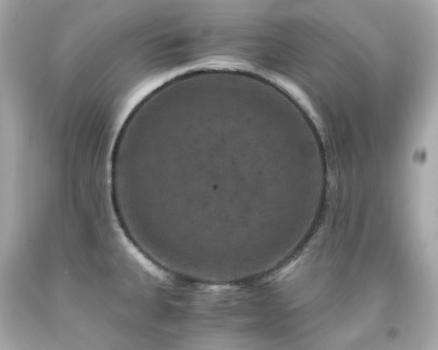 X0000091941335200709121611