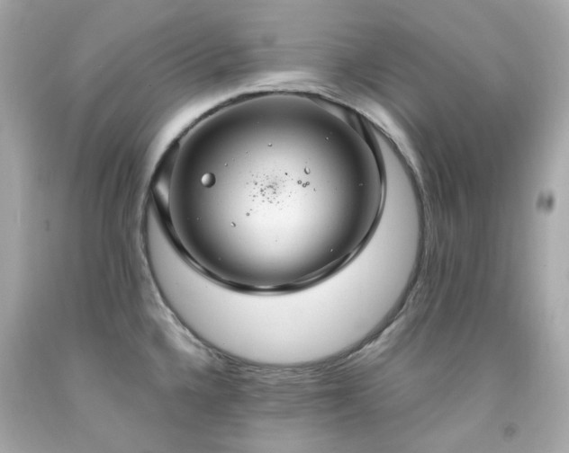 X0000091941336200709121611