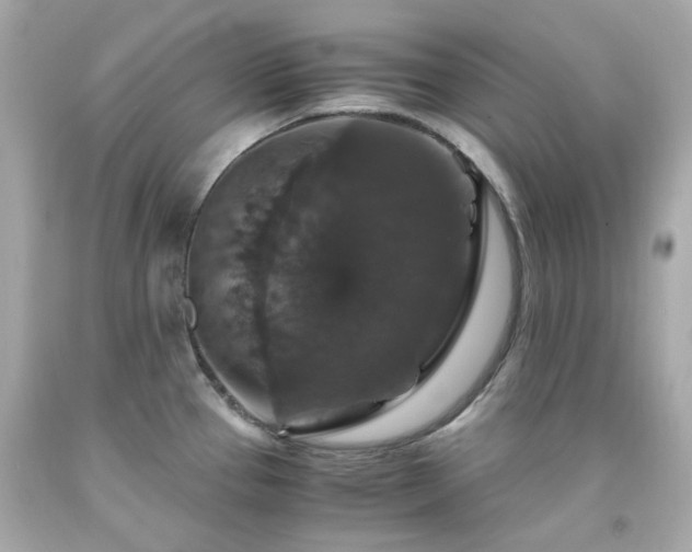 X0000091941337200709121611