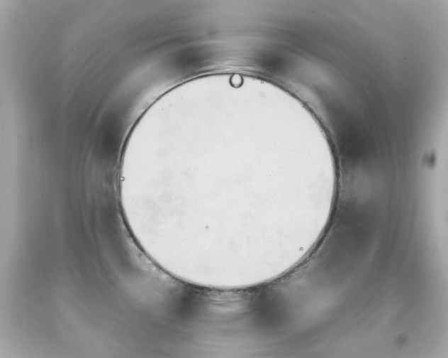 X0000091941338200709121611