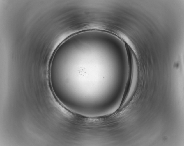 X0000091941339200709121611