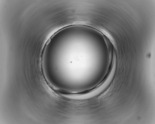 X0000091941340200709121611