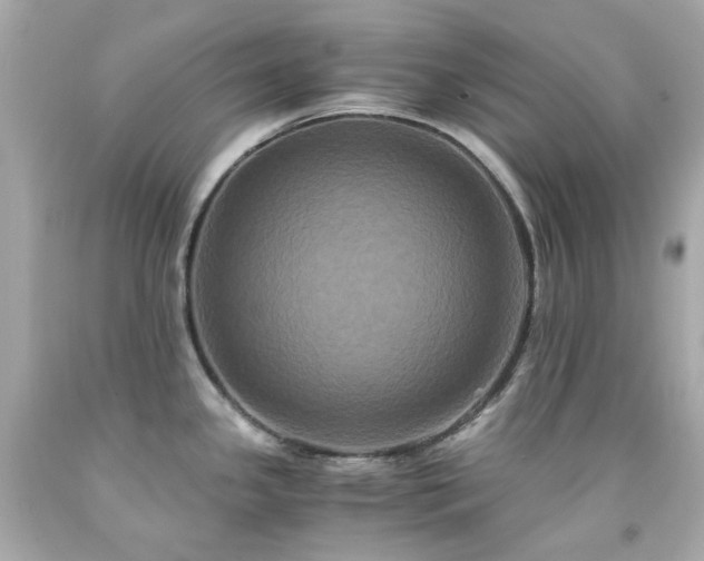 X0000091941341200709121611