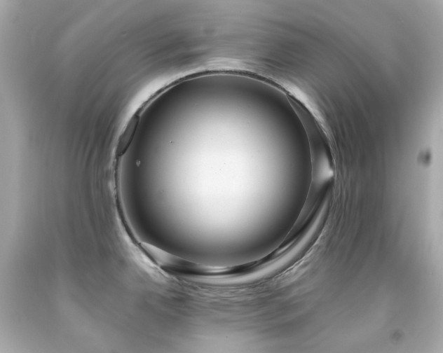 X0000091941342200709121611