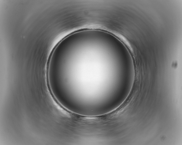 X0000091941343200709121611