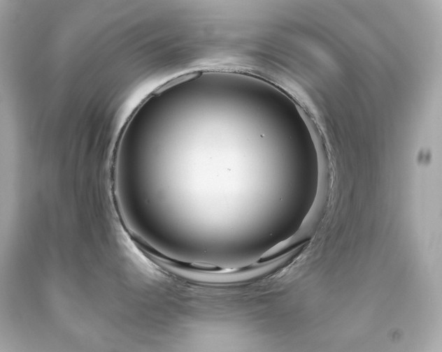 X0000091941344200709121611