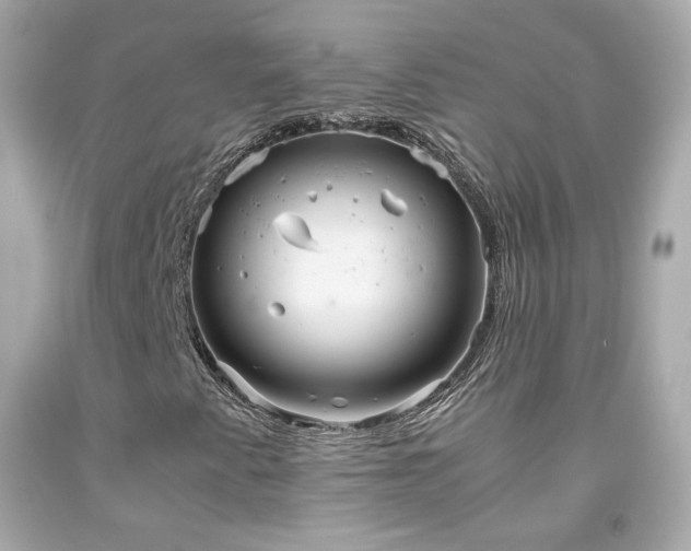 X0000091941345200709121611