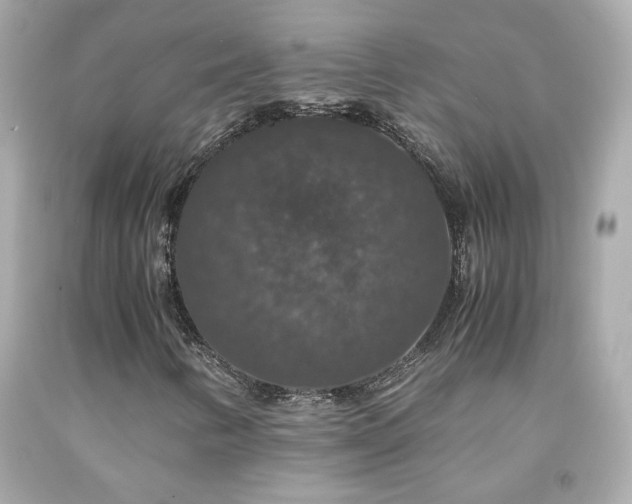 X0000091941346200709121611