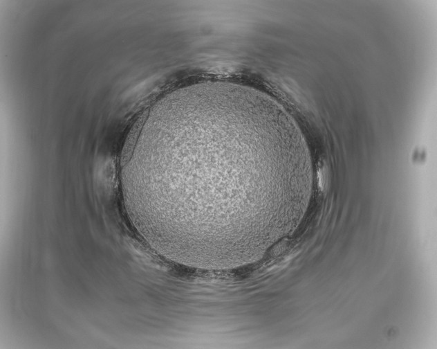 X0000091941347200709121611