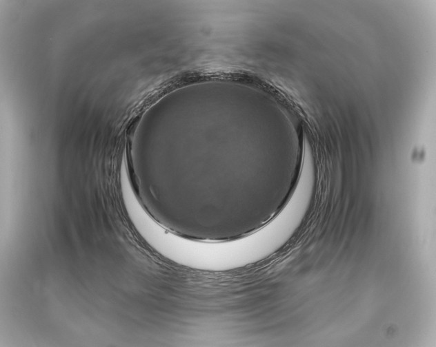 X0000091941348200709121611