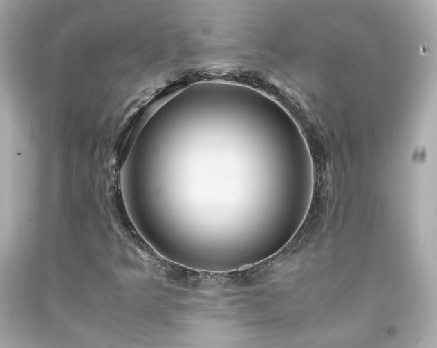 X0000091941349200709121611