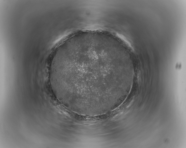 X0000091941350200709121611