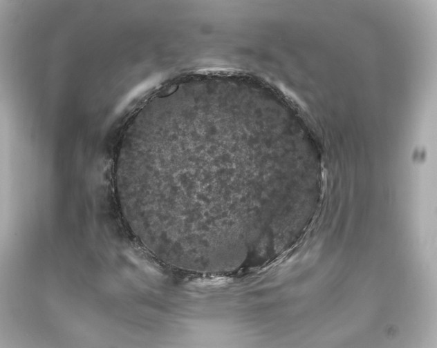 X0000091941351200709121611