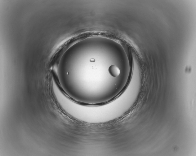 X0000091941352200709121611