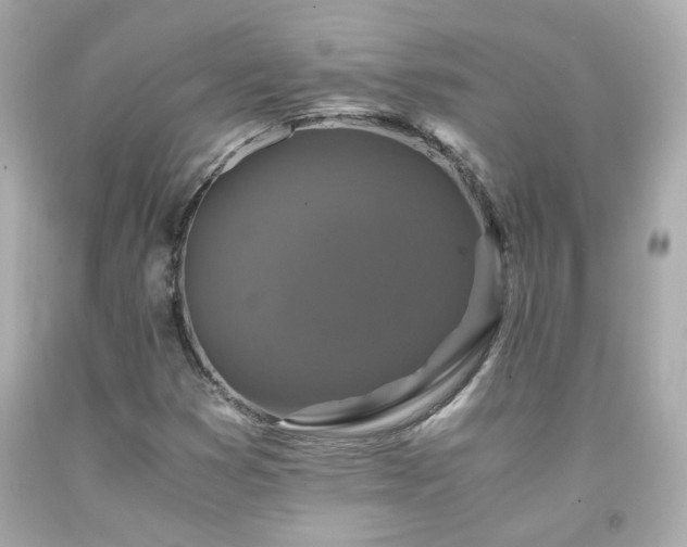 X0000091941353200709121611