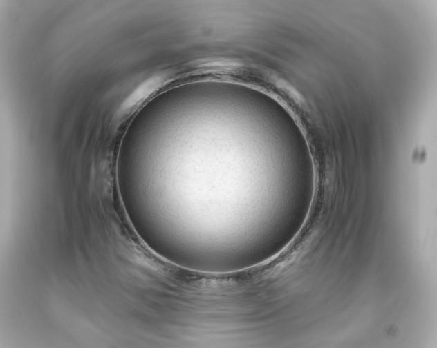 X0000091941354200709121611