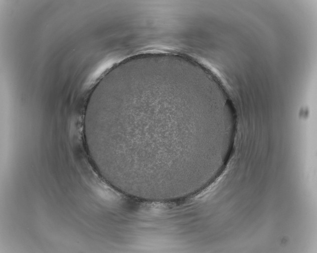 X0000091941355200709121611