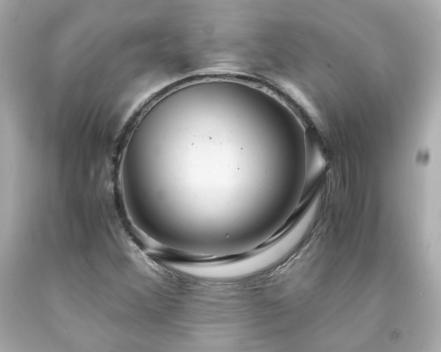 X0000091941356200709121611