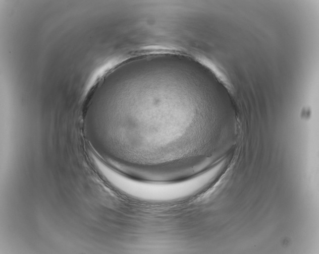 X0000091941357200709121611