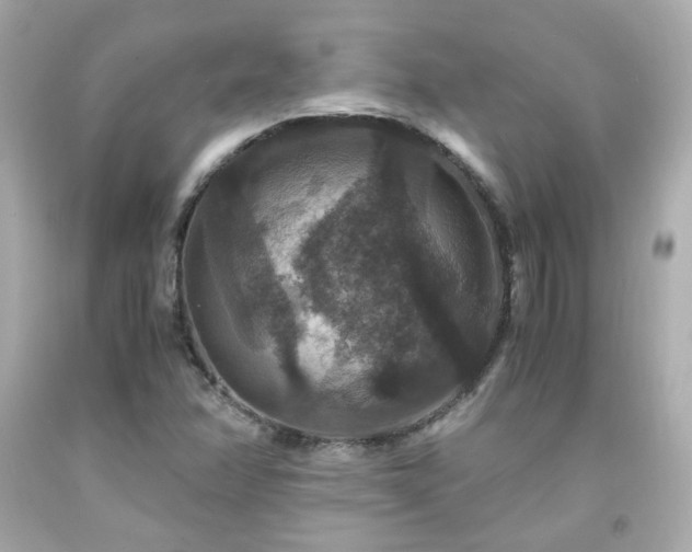 X0000091941358200709121611