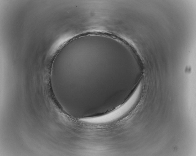 X0000091941359200709121611