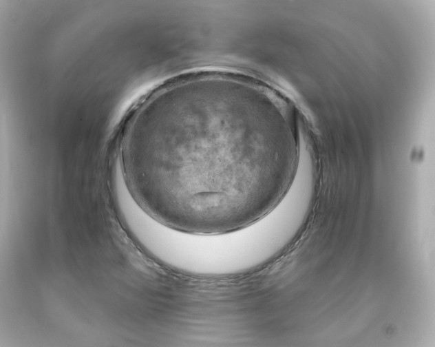 X0000091941360200709121611