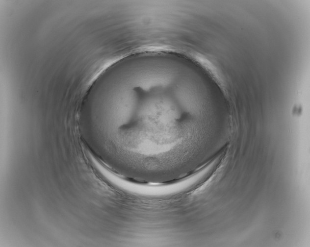 X0000091941361200709121611