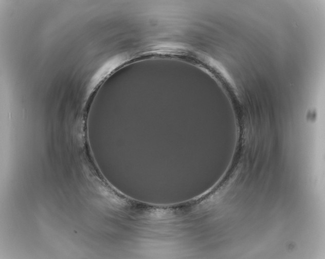 X0000091941362200709121611