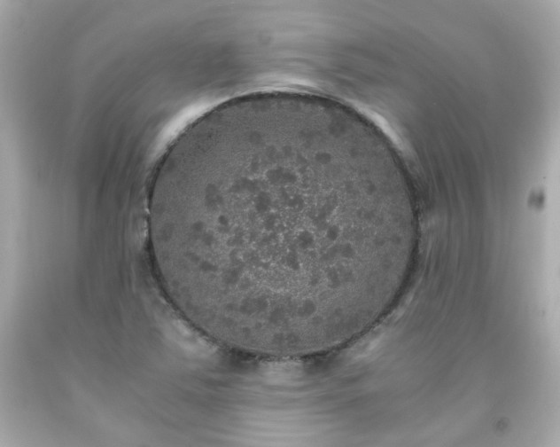 X0000091941363200709121611