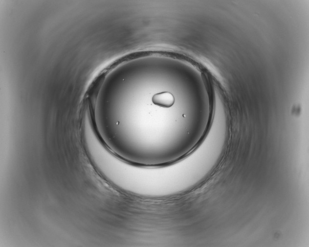 X0000091941364200709121611