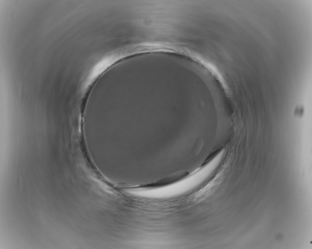 X0000091941365200709121611