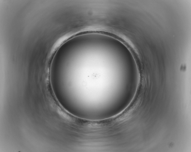 X0000091941366200709121610