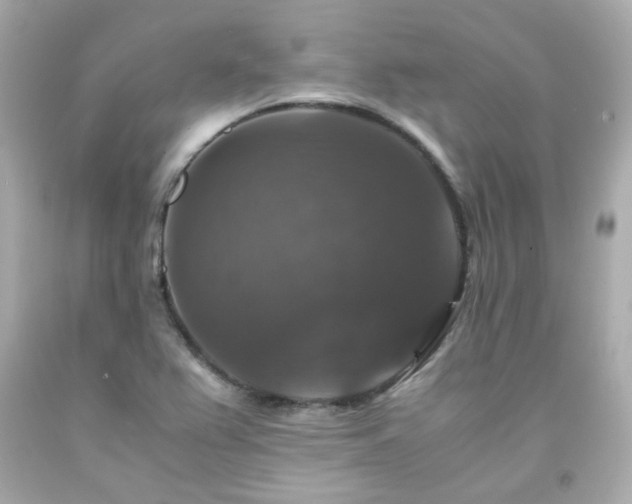 X0000091941367200709121610