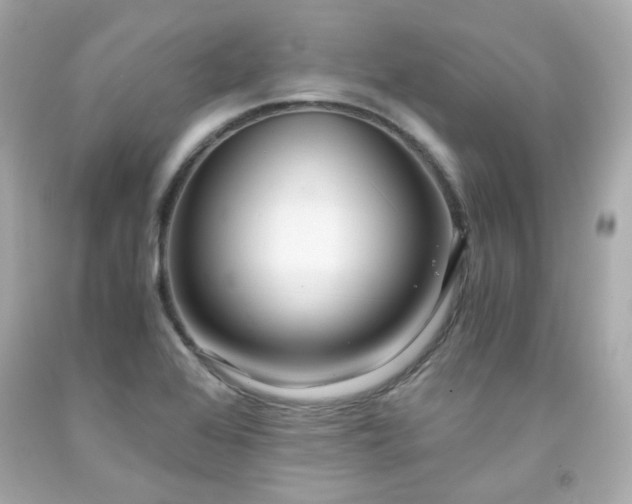 X0000091941368200709121610