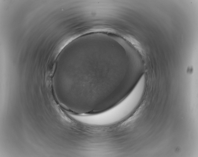 X0000091941369200709121610