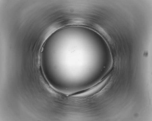 X0000091941370200709121610