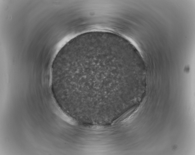 X0000091941371200709121610