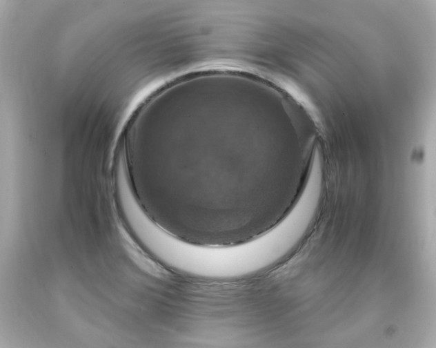 X0000091941372200709121610