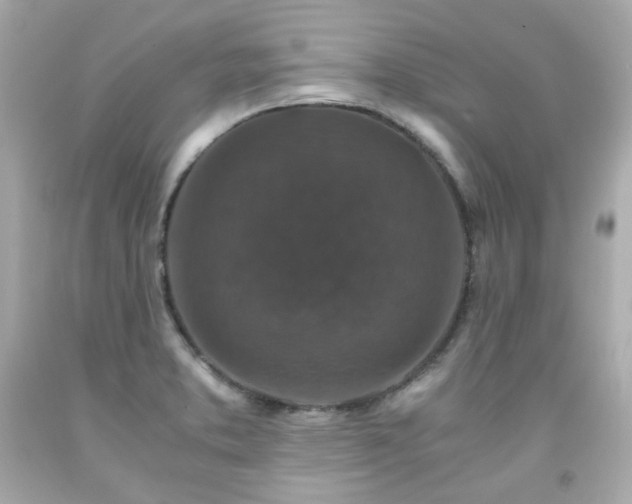 X0000091941373200709121610